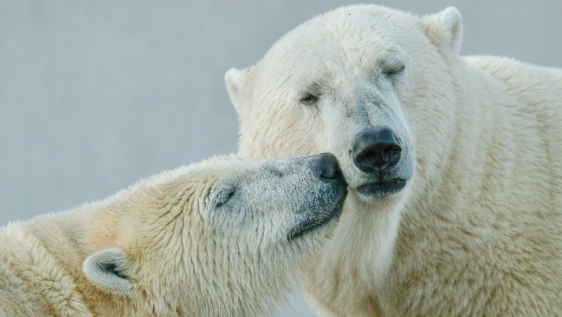 27 февраля 2024 года, вторник: какой сегодня праздник, что было в этот день