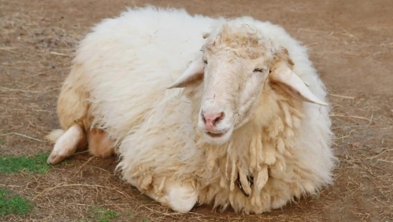 Церковный праздник 28 февраля 2025: что нельзя делать в этот день, приметы