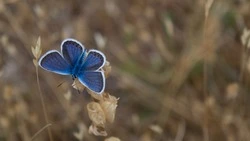 Приметы обо всем на 14 мая 2023 года: что можно и нельзя делать в этот день