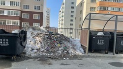 Жители Южно-Сахалинска два месяца любовались кучей мусора и снега во дворе