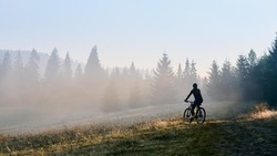 Мужчина потерял украденный им велосипед в лесу на юге Сахалина