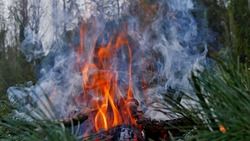 Угроза пожаров возникла в двух районах Сахалинской области