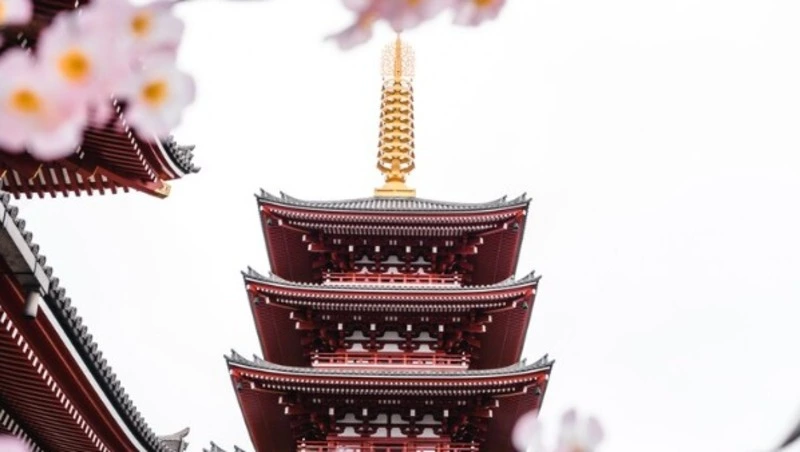 Японцы требуют восстановить меморандумы о деятельности Японских центров в России