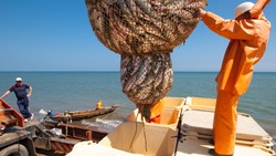 Жителям Сахалина объяснили разницу цен на улов в рамках проекта «Доступная рыба»