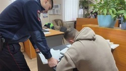 Госавтоинспекция оштрафовала автохама за парковку у детсада в Южно-Сахалинске