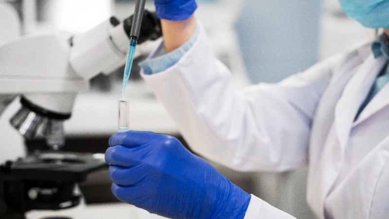 Опасную мутацию птичьего гриппа обнаружили на Сахалине