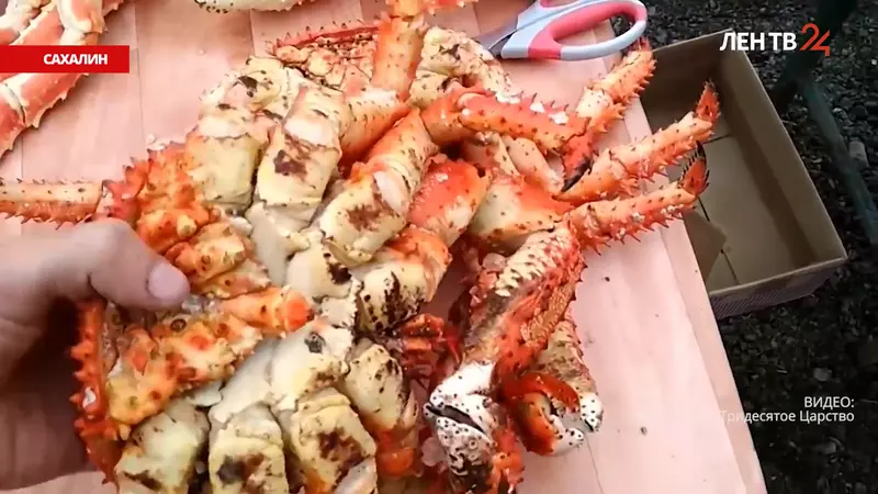Питерский журналист поведал о дешевом крабе на Сахалине и пельменях с гребешком в помойке