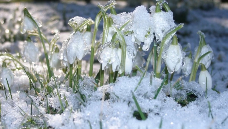 Народные приметы на 27 марта — что можно и нельзя делать