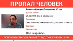 Полиция и родственники с материка объявили поиски пропавшего на Сахалине мужчины