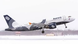 В аэропорту Южно-Сахалинска в январе 2024 года на 4,8% увеличился пассажиропоток