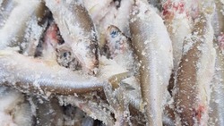 Свежую рыбу по социальным ценам привезли в три района Сахалина 19 декабря 