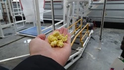 На Сахалине заработал первый комбикормовый завод