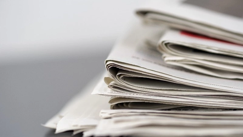 Убийство матери, выставка кошек, спасение туристов: новости выходных на Сахалине