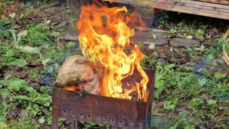 Спасатели Южно-Сахалинска освободили щенков из-под завала