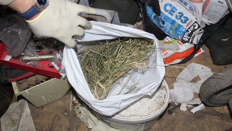 «Breaking bad по-сахалински»: в Макарове мужчина в жилой пятиэтажке сделал теплицу с коноплей