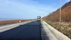 Больше шести километров асфальта уложат на трассе Невельского района в 2025 году