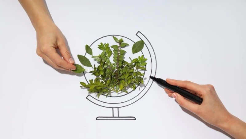 Новые зеленые технологии помогут сохранить природный капитал