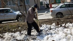 Месячник чистоты в Южно-Сахалинске: график субботников и бесплатный инвентарь