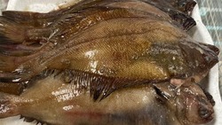 Рыбу по низкой цене привезли на Сахалин и Курилы 31 октября