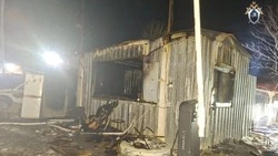 Пожарникам не удалось спасти двоих людей при тушении огня в Шахтерске