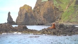 Первый международный заплыв вокруг острова Монерон. На здоровой волне 25.10.23