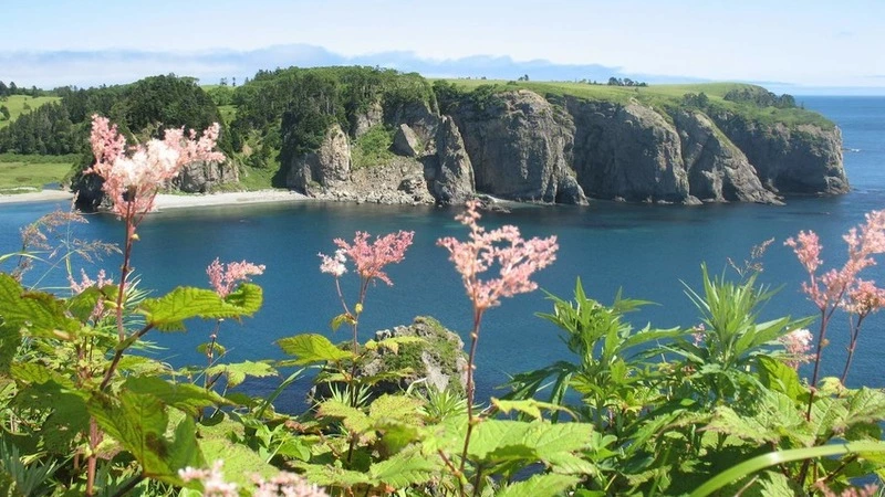 Японские СМИ: поправки в Конституцию РФ не противоречат вопросу о «северных территориях»