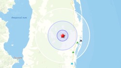 Два землетрясения с разницей в 40 секунд произошли на севере Сахалина 1 сентября