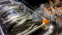 Дешевую рыбу завезут на три дня в Южно-Сахалинск