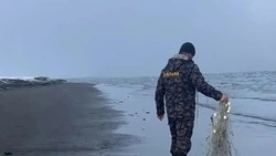 Рыбоохрана оштрафовала сахалинских рыбаков на полмиллиона рублей с начала года