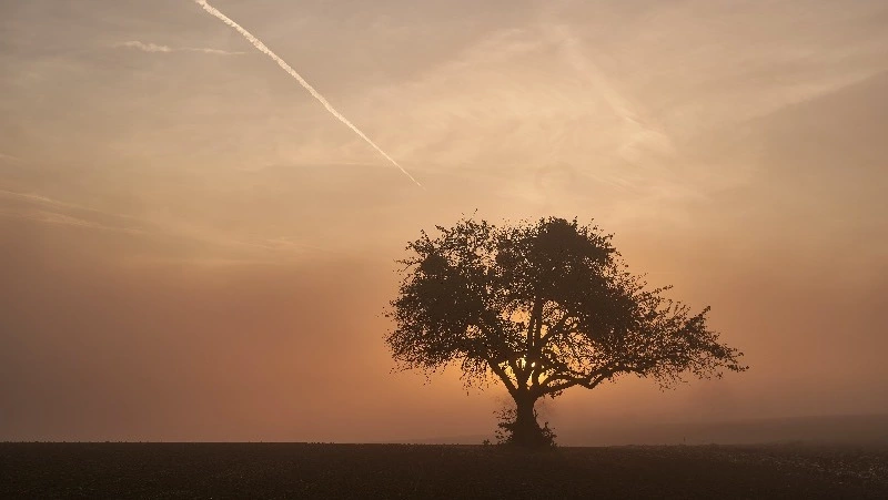 Взрыв газа, День шахтера и медведь: новости выходных в Сахалинской области