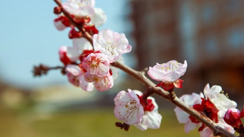 Церковный праздник 26 мая 2023: что нельзя делать в этот день, приметы