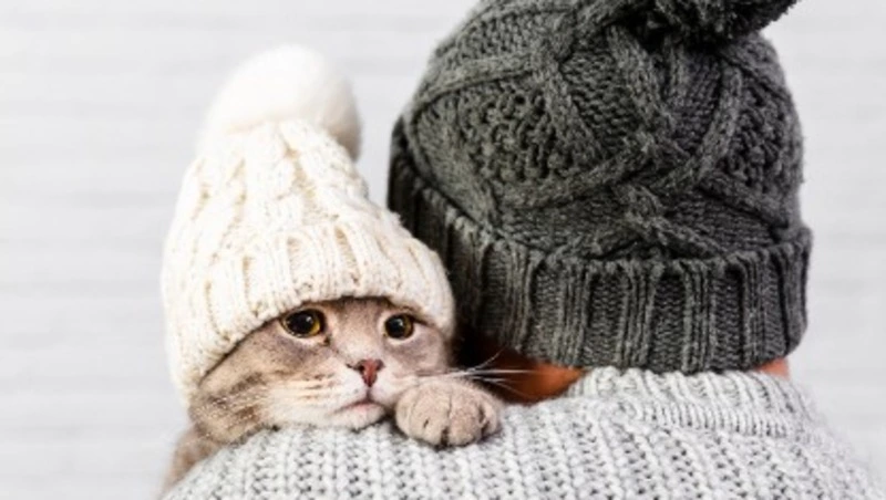 Сотням жителей Южно-Сахалинска отключат отопление 19 января