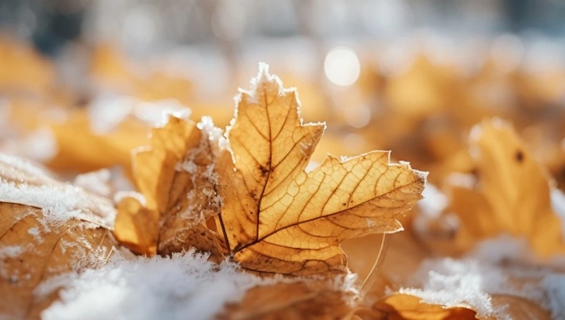 Приметы обо всем на 20 октября 2023 года: что можно и нельзя делать в этот день