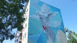 Белый голубь украсил стену жилого дома в селе Сокол