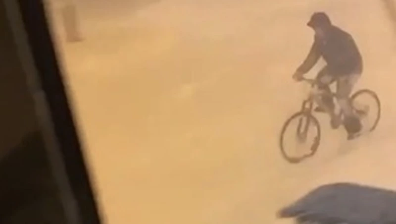 «Вот отчаянный»: снежный циклон не испугал велосипедиста в Южно-Сахалинске