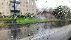 Сильный дождь обрушится на 11 районов Сахалинской области