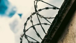 Жительница Охи получила срок в колонии за долг по алиментам на 7 детей