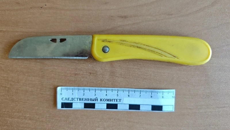 Житель Смирных угрожал ножом сотруднику полиции во время проверки документов