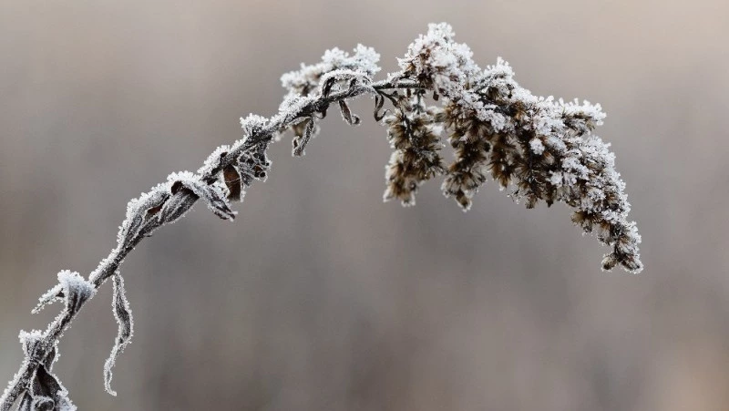 Штормовые ветры и до −32 градусов ожидают на Сахалине и Курилах 27 декабря