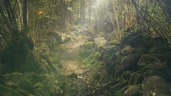 «Поднимали дроны»: пропавшие в Углегорском районе девушки вернулись домой