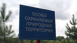 Природные заказники на Сахалине запретят посещать на 4 месяца в период отела оленей