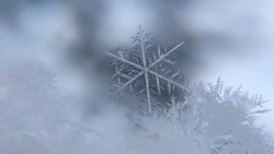 Школьников на Курилах перевели на дистанционное обучение из-за непогоды 15 февраля 