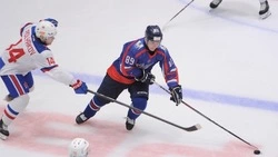 «Сахалинские Акулы» проиграли «СКА-1946» со счетом 2:6 в матче 25 октября 