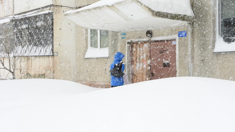 Два министерства уберут болото в подвале жилого дома в Александровске-Сахалинском