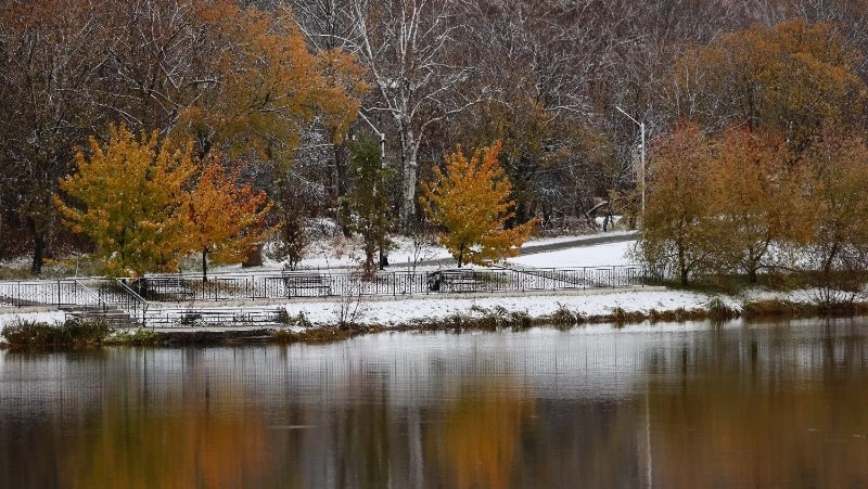 На севере снег, на юге дождь: прогноз погоды в Сахалинской области 31 октября