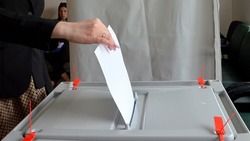 На выборах в Сахалинскую областную Думу проголосовали 29,73% избирателей