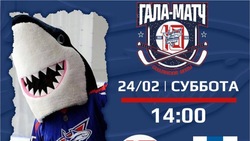 «Сахалинские акулы» и сборная Сахалинской области сыграют 24 февраля в «Арена Сити»