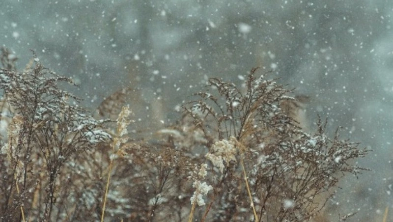 Легкий снегопад: прогноз погоды в Сахалинской области на 23 февраля