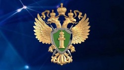 Прокуратура Сахалина начала проверку после сообщений об избиении пенсионерки сиделкой