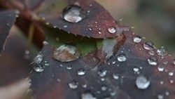 Небольшие осадки и до –10 градусов мороза ждет жителей Сахалина и Курил 25 октября